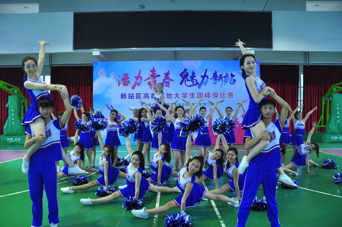 香港内部精准资料+官方