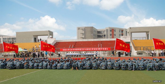 香港内部精准资料+官方