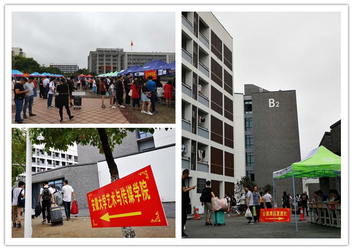 香港内部精准资料+官方