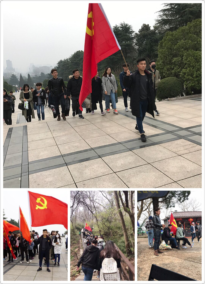香港内部精准资料+官方