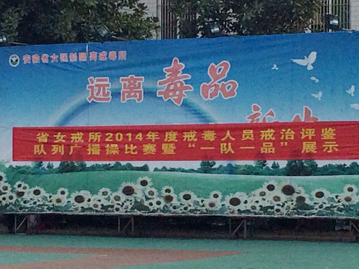 香港内部精准资料+官方