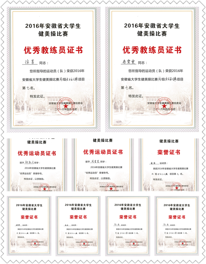 香港内部精准资料+官方