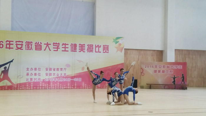 香港内部精准资料+官方