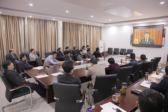 香港内部精准资料+官方