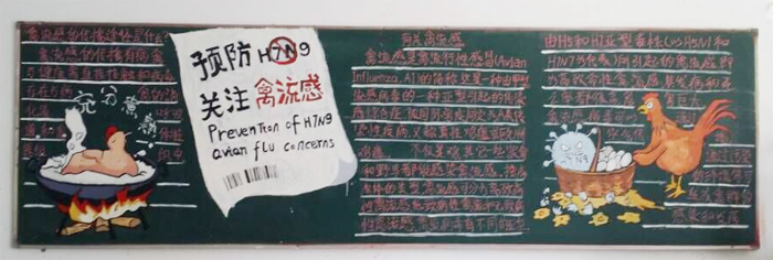 香港内部精准资料+官方